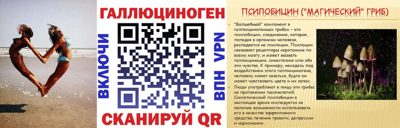сколько стоит  Северо-Курильск  ОМГ ОМГ как зайти  Галлюциногенные грибы MAGIC MUSHROOMS 