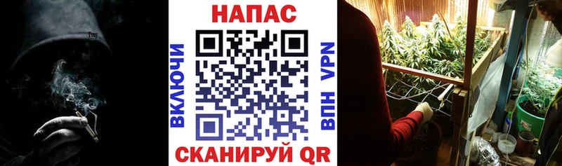 Канабис семена  гидра   Северо-Курильск  наркошоп 
